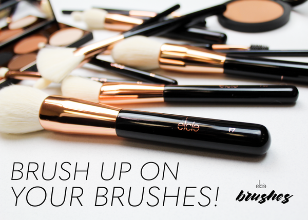 Brush up on your Brushes!